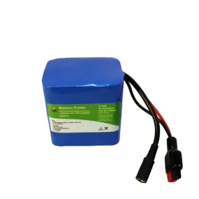 9V, 6Ah LFP Battery (PVC, BLF-0906W)