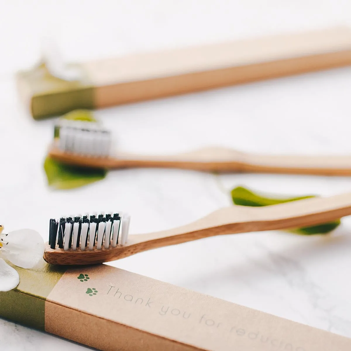 Bamboo Toothbrushes