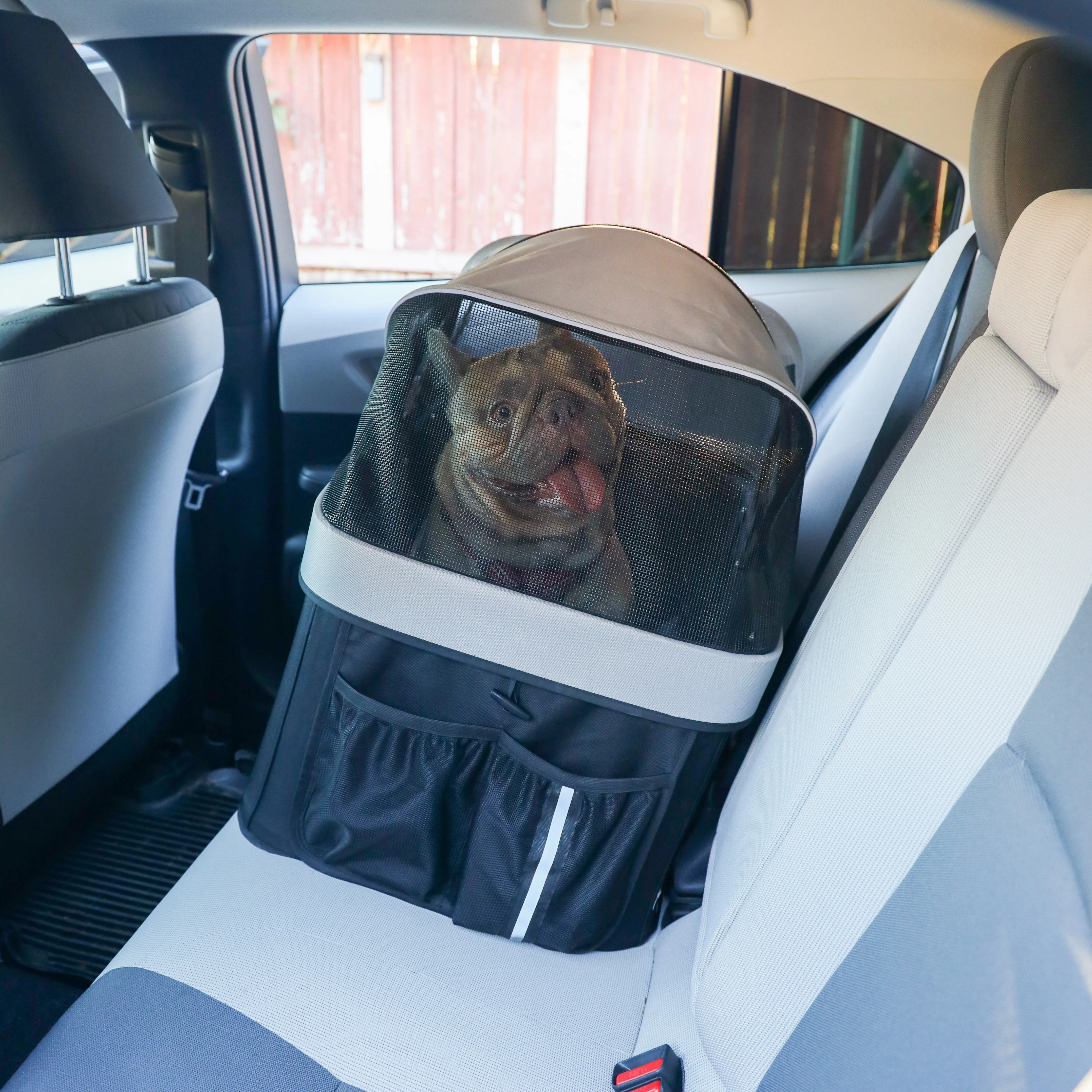 Dynamic Pet Travel Bundle