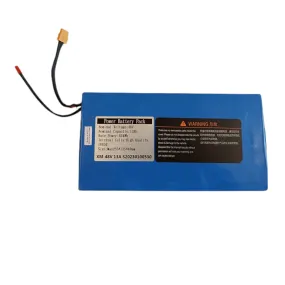 Lithium-ion Power Battery 13Ah 624Wh 48V for T-Sport Scooter ES253