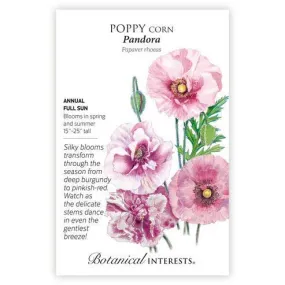 Poppy Corn Pandora Seed Pkt