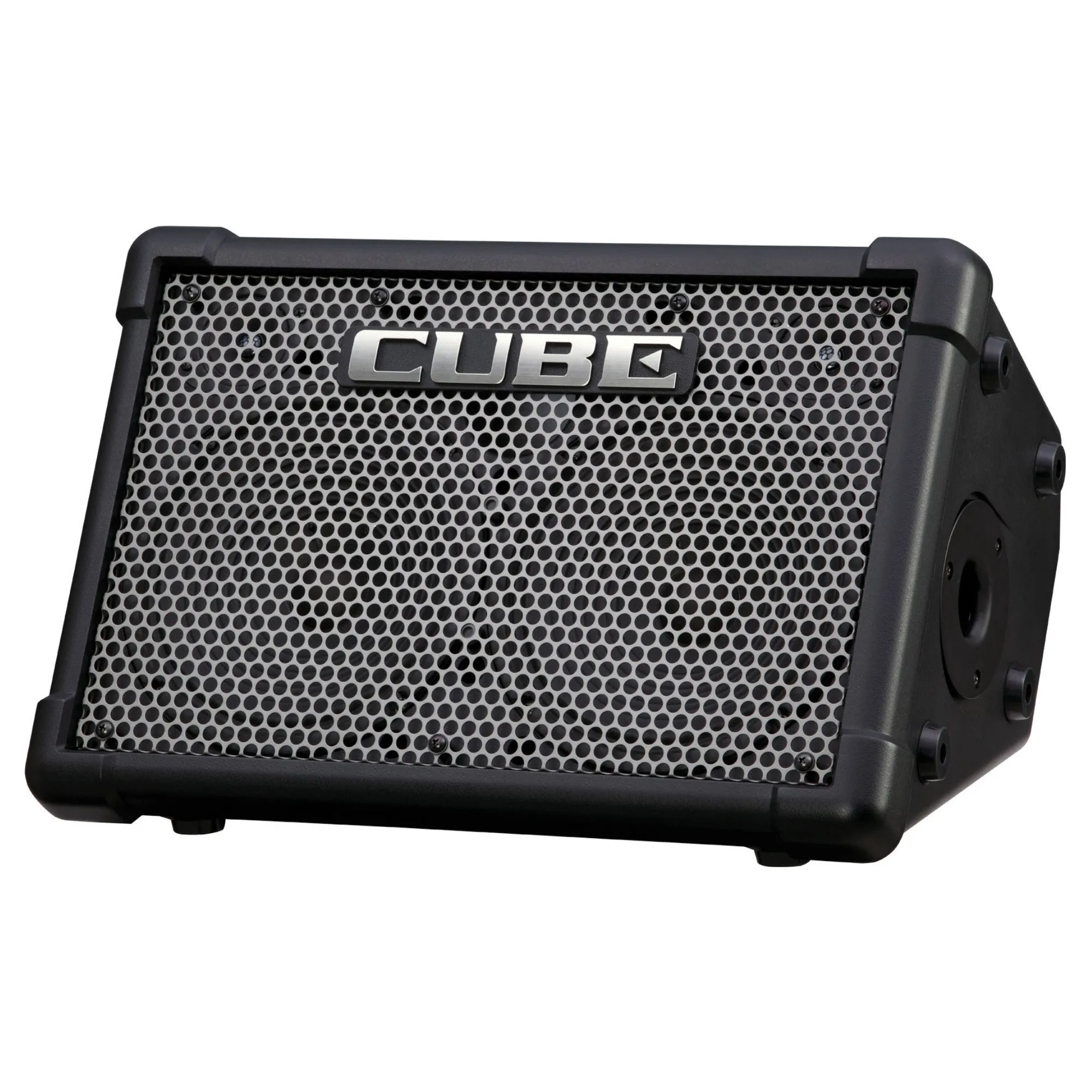 Roland CUBE Street EX Battery-Powered Stereo Amplifier