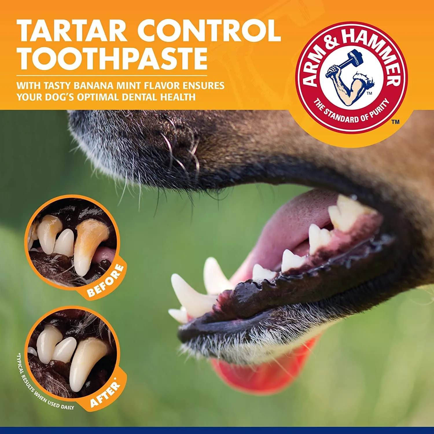 Tartar Control Kit for Dogs- Toothpaste, Toothbrush & Fingerbrush